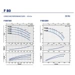 ⁦طلمبة بفلنشة بيدريللو  3فاز 20حصان  80/100مم  PEDROLLO  F80/160C⁩ - الصورة ⁦4⁩