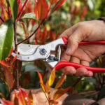 ⁦مقص عقله فيلكو سويسرى موديل 4 - FELCO⁩ - الصورة ⁦2⁩