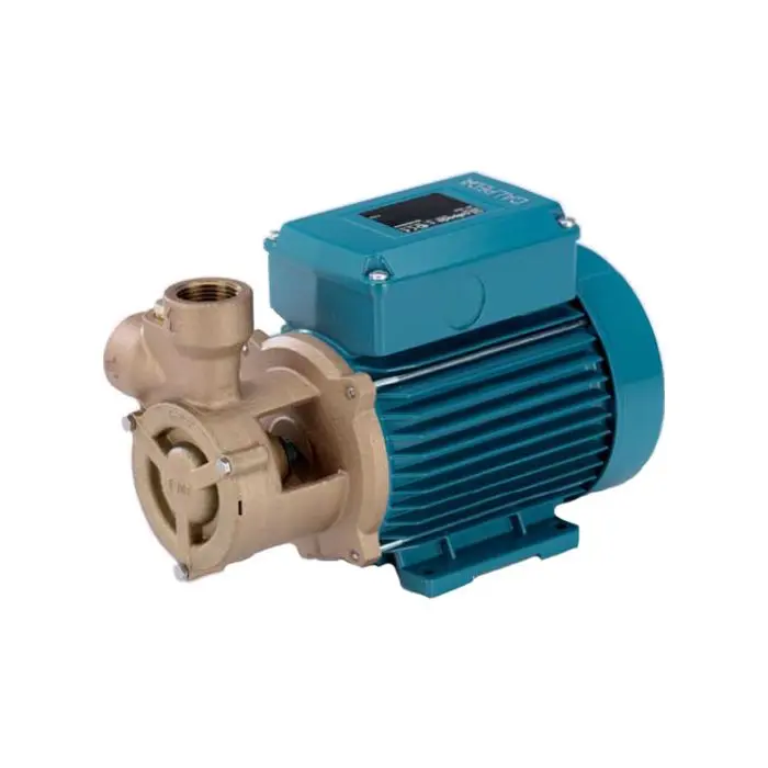 b-t_1_1_21 Calpeda Pump End Bronze Surface, Model B-TM 70/A (1 HP / 220 V ) - Image 1