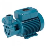 Calpeda Pump End Surface, Model TM 61E (0.45 HP / 220 V)
